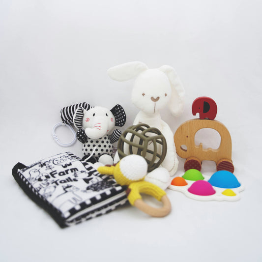 6 - 18 Months (Box 1)